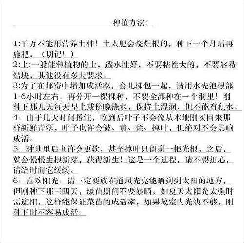 带根发货食叶型红薯 地瓜叶福薯18号番薯专吃叶子山芋苗台湾蔬菜 - 图2