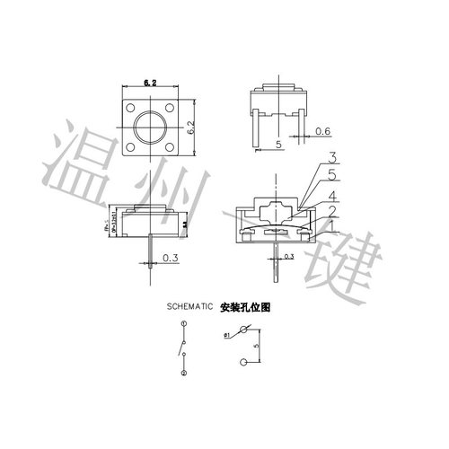 TS-D023C轻触开关6*6中二脚直插薄款鼠标有声 按钮手机玩具按键 - 图2