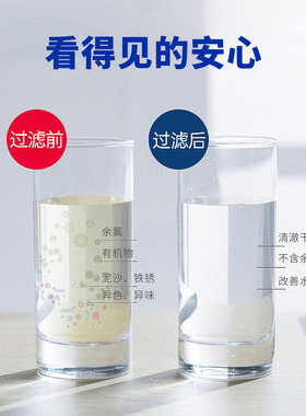 通用净水器滤芯NSF认证后置口感炭小T33大T33净味椰壳活性炭