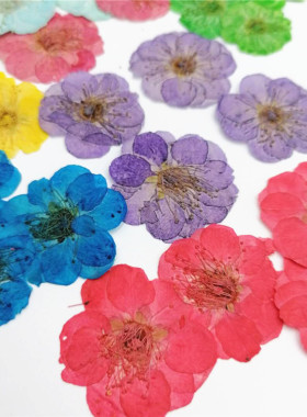香薰蜡烛干花diy梅花腊梅