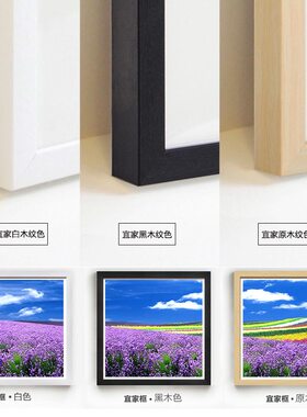 紫色薰衣草浴室卫生间客餐厅挂画