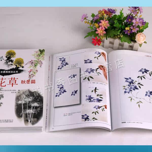 水墨画技法丛书 六册 白的表现画树木画山岳画溪谷画花草春夏篇画花草秋冬篇国画绘画水墨画画法教程名家作品赏析北京美影出版 牌子网