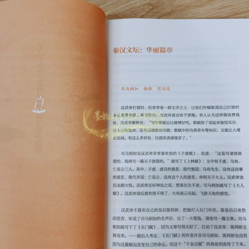 一分钟趣味文学史 傅狮虎编著青少年文学名人趣味故事读物中国古代文学家生平事迹传记典故绘画名家书法名家米芾张国梁岭南美术社