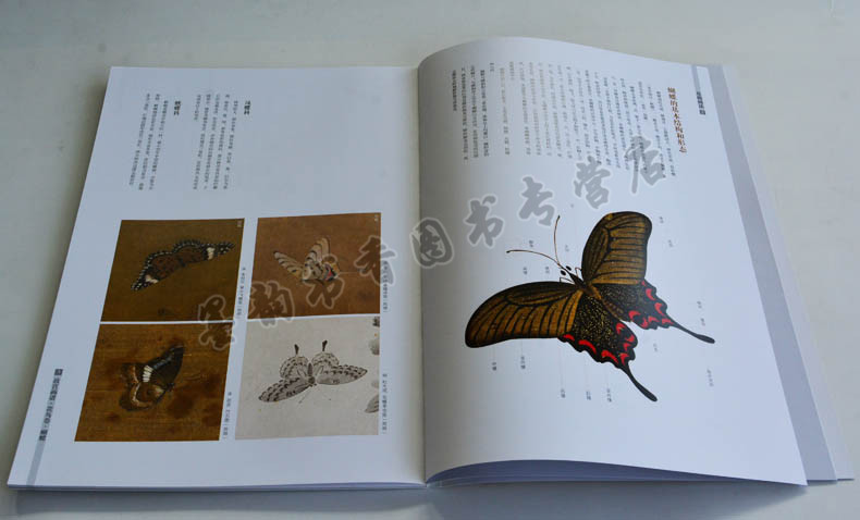 正版 故宫画谱 花鸟卷 蝴蝶 中国历代名画技法精讲系列 中国山水花卉绘画画法技法学习讲解析步骤 初学者入门教程 故宫出版社书籍