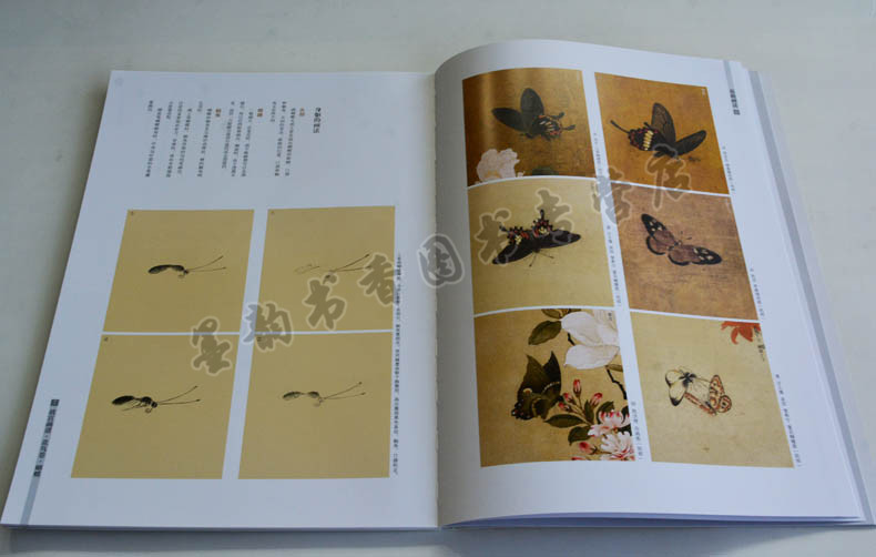 正版 故宫画谱 花鸟卷 蝴蝶 中国历代名画技法精讲系列 中国山水花卉绘画画法技法学习讲解析步骤 初学者入门教程 故宫出版社书籍