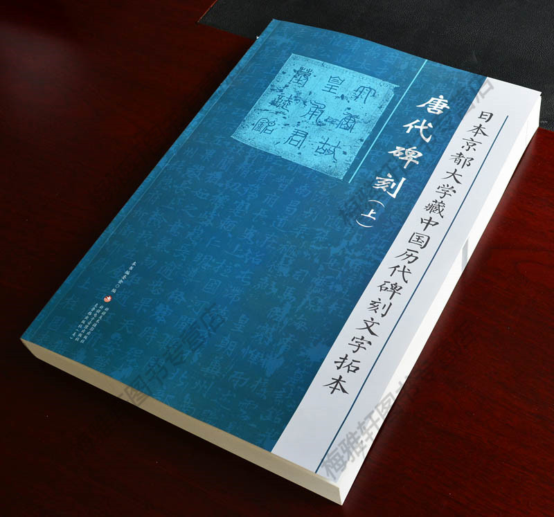 日本京都大学藏中国历代碑刻文字拓本全套10册8开中国古代碑刻拓片名品精选中国书法全集书法篆刻碑帖鉴赏收藏书籍新疆美术出版社