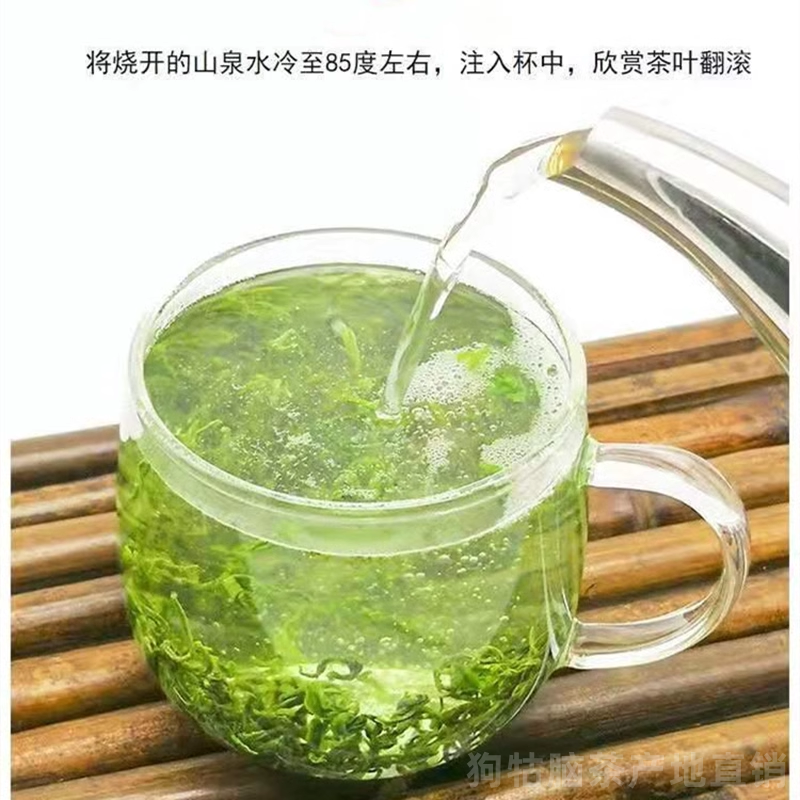 2024江西遂川狗牯脑茶散装口粮茶绿茶粗茶高山浓香袋装500g - 图0