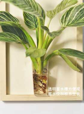 壁挂墙装饰家居春羽绿植插花简约