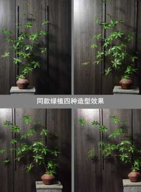 锦叶鸭脚木仿真绿植盆景摆件