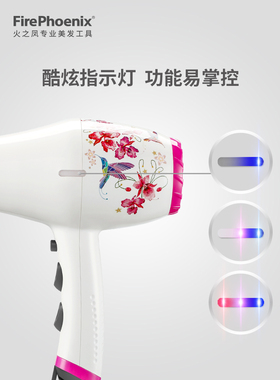 火之凤电吹风机发廊59002200w