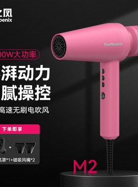 火之凤M2大功率负离子电吹风