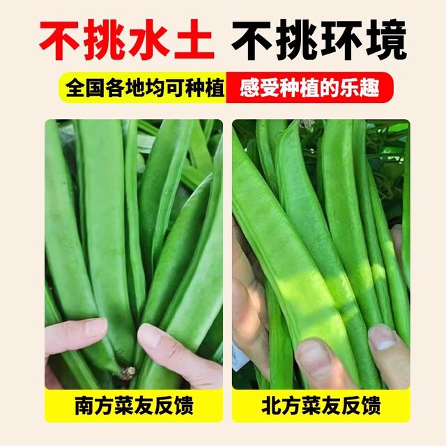 Cannabis seeds can be planted nationwide and have a high germination rate