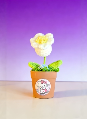 Hello Kitty迷你盆栽 手工毛线泡芙花可爱桌面小摆件 网红系礼物