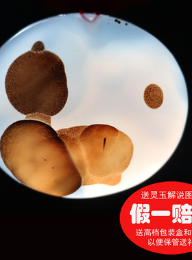 天然精品男女海洋玉髓吊坠象形