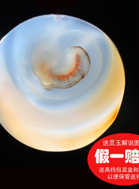 象形海洋玉髓巴西玛瑙天然精品