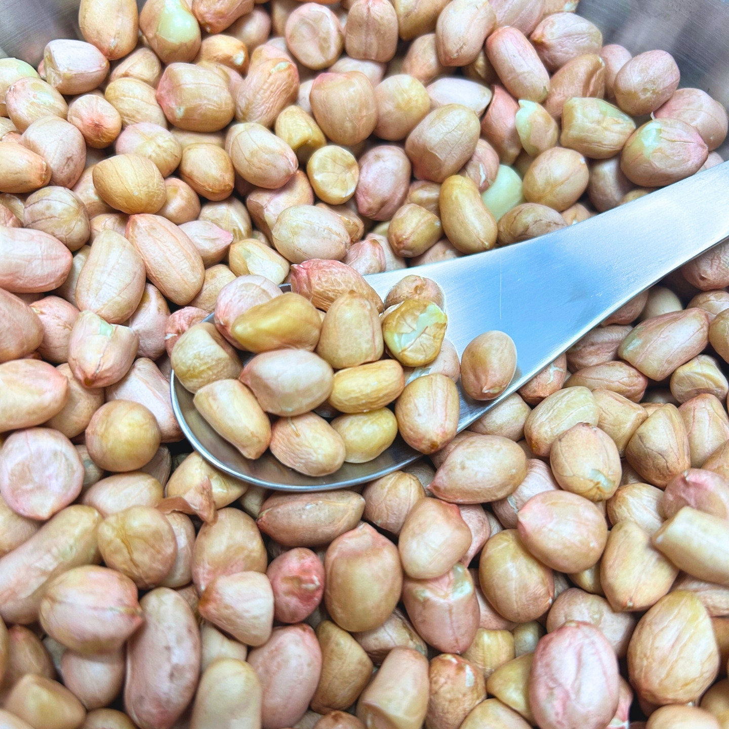 【25年新货】山东新鲜花生手工现扒农家特产净重1斤装,淘宝优惠券,粉丝福利购,淘宝优惠卷