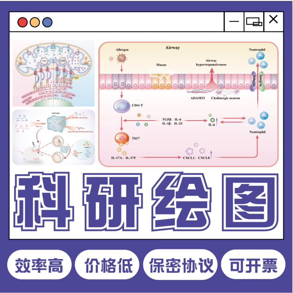 科研绘图代画作图sci医学插图解剖图机制图仪器图形摘要封面美化