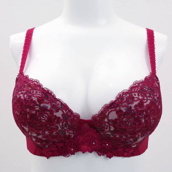  shirohato海外文胸