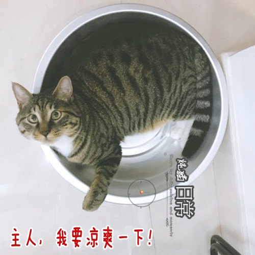 双峰老式加厚铝盆家用厨房大铝盆洗菜盆熬药猫盆洗衣洗脸盆22-55 - 图0