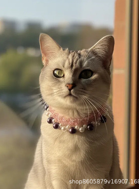 宠物项链甜美可爱仿珍珠串珠猫咪项链狗狗吊坠猫猫项圈颈圈饰品