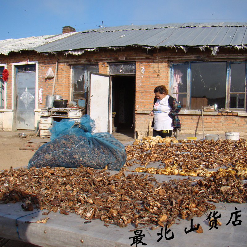 榛蘑东北野生蘑菇大兴安岭野山菌菇山货土特产级榛菇干菇菌类干货 - 图1