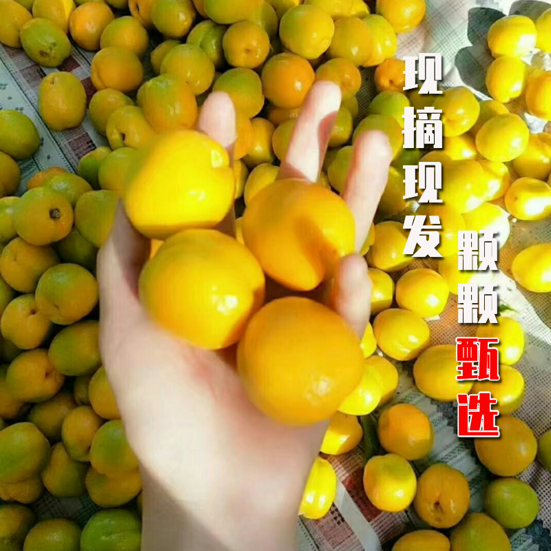 商品详情图片