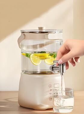 养生壶水龙头大容量5L家用果茶壶炖煮恒温多功能果酒煮花茶桶烧水