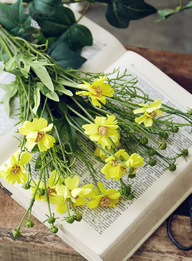 室内绢花拍摄道具小雏菊
