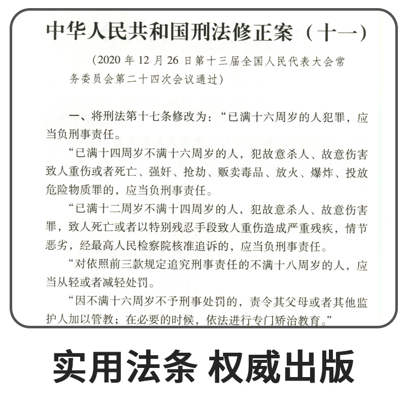 正版法律书籍刑法典修正案十一刑事诉讼法最高人民法院刑事诉讼证据若干规定含草案说明司法解释法条单行本未成年人保护-图2