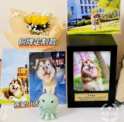 宠物骨灰盒金毛大型犬狗猫收纳实木火化定制哈士奇殡葬纪念棺材盒 - 图0