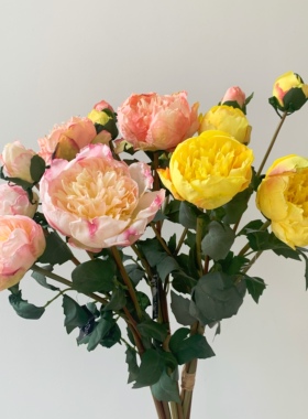 高端干枯系列玄关样品间餐桌花