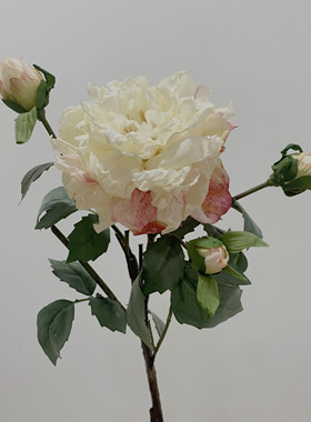 油画欧式复古风绢花装饰大牡丹