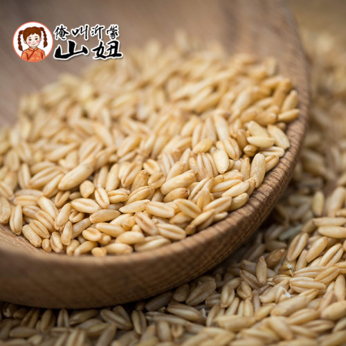 山妞新燕麦米农家种植燕麦粒燕麦仁野麦雀麦五谷杂粮满额包邮500g - 图1