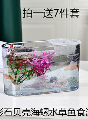 晶雕彩简约玻璃水培鱼缸一次成型