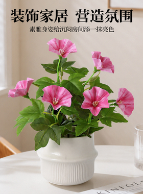 绿植盆景假花办公桌盆栽牵牛盆栽