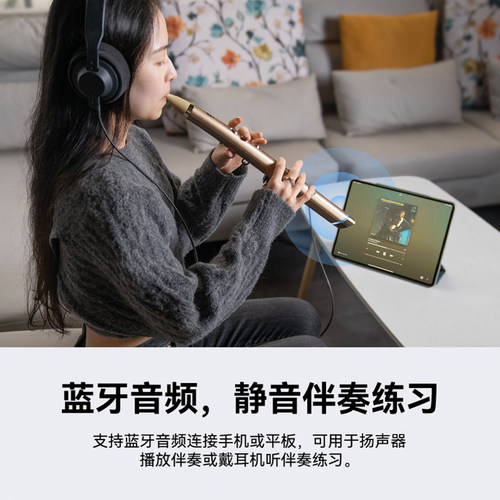 锣钹小小笛电吹管乐器中老年人电子吹管初学入门电萨克斯电葫芦丝 - 图0