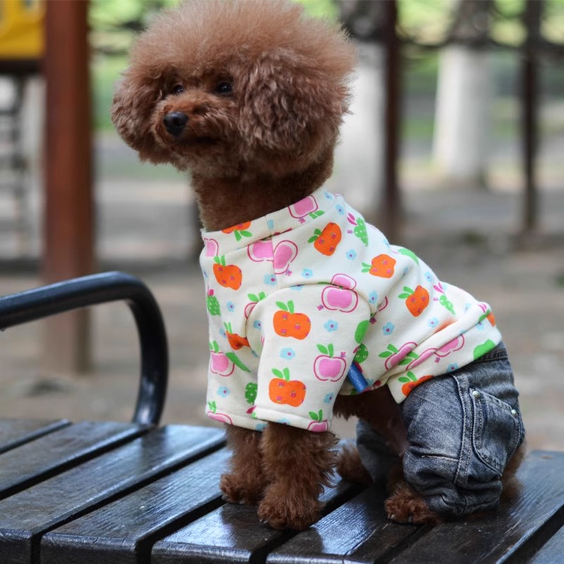 狗狗衣服小型犬春秋夏季薄款四脚睡衣夏天春季泰迪比熊幼犬猫裙子-图1