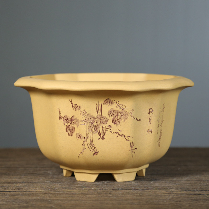 宜兴紫砂陶瓷造型花卉绿植园艺盆景盆仿古葵式树桩盆兰花花盆,淘宝优惠券,粉丝福利购,淘宝优惠卷