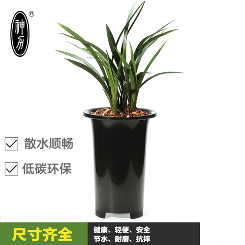 神力花卉兰花植物圆形花盆全新塑料兰花盆大棚基地种植盆 - 图0