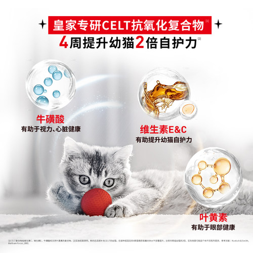 【新品上市】皇家猫粮主食级猫湿粮幼猫浓汤肉块猫咪湿粮罐头餐包 - 图2