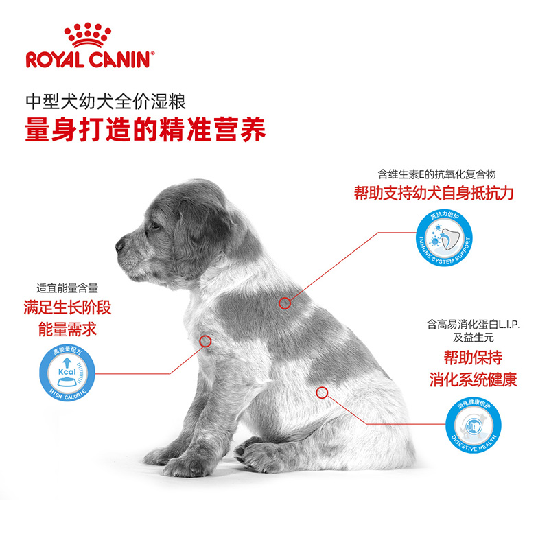 皇家小型幼犬中型幼犬湿粮全价主食级24包泰迪贵宾柴犬柯基湿狗粮 - 图1