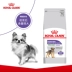 Royal Canin Royal Dog khử trùng và chăm sóc thức ăn cho chó nhỏ Thức ăn cho chó trưởng thành MSA30 / 2kg * 2 - Chó Staples Chó Staples