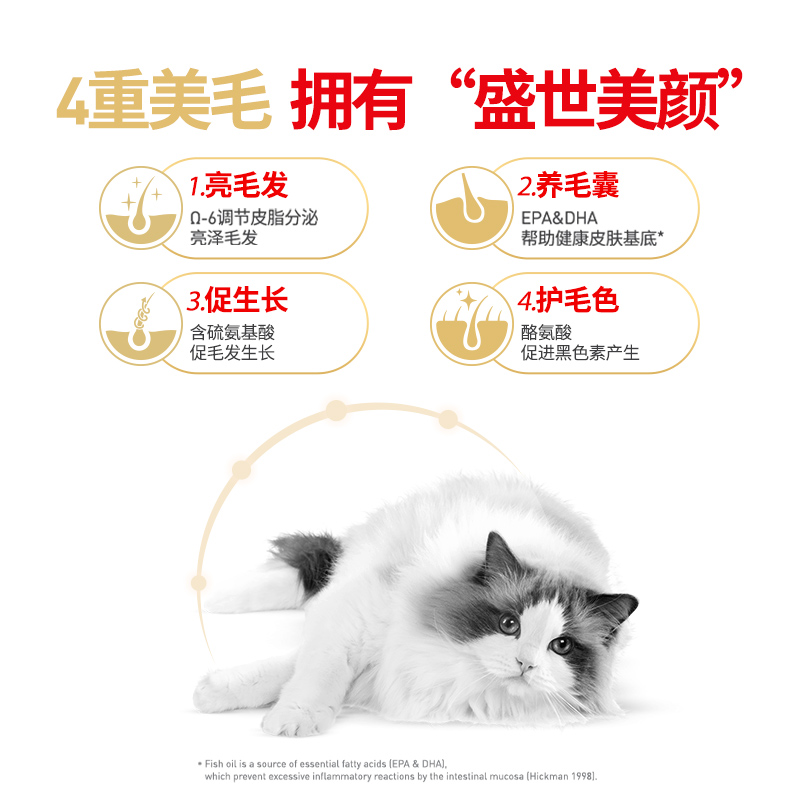 皇家猫粮布偶猫专用RA32成猫粮2kg营养美毛呵护肠胃全价猫粮主粮-图1