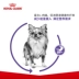 Royal Canin Royal Dog khử trùng và chăm sóc thức ăn cho chó nhỏ Thức ăn cho chó trưởng thành MSA30 / 2kg * 2 - Chó Staples Chó Staples