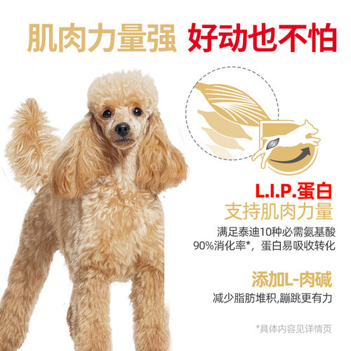 皇家狗粮泰迪狗粮幼犬粮成犬老年狗粮小型犬贵宾灰泰迪专用狗粮 - 图3
