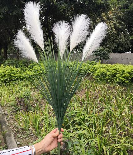 仿真芦苇狗尾巴水草假花卉绿植家居客厅橱窗装饰摆件影视拍摄道具 - 图0