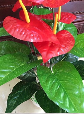 特价仿真红掌小盆景仿真植物盆栽
