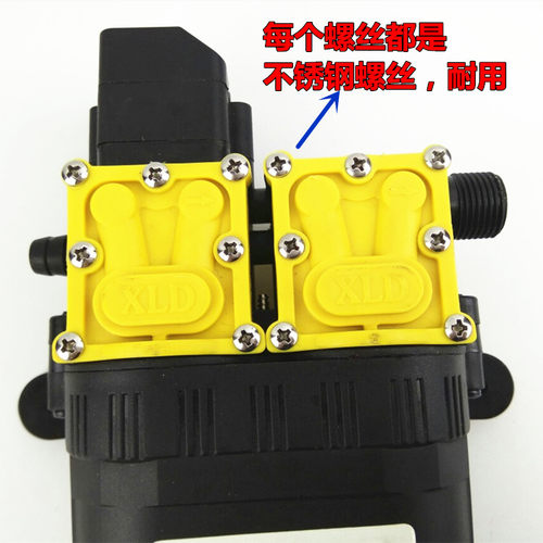 大功率12V双核动力水泵 农用电动喷雾器改装双泵高压 打药洗车 - 图1