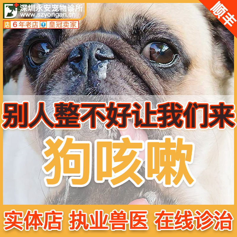 宠物感冒药 新人首单立减十元 21年7月 淘宝海外 宠物感冒药 新人首单立减十元 21年7月 淘宝海外