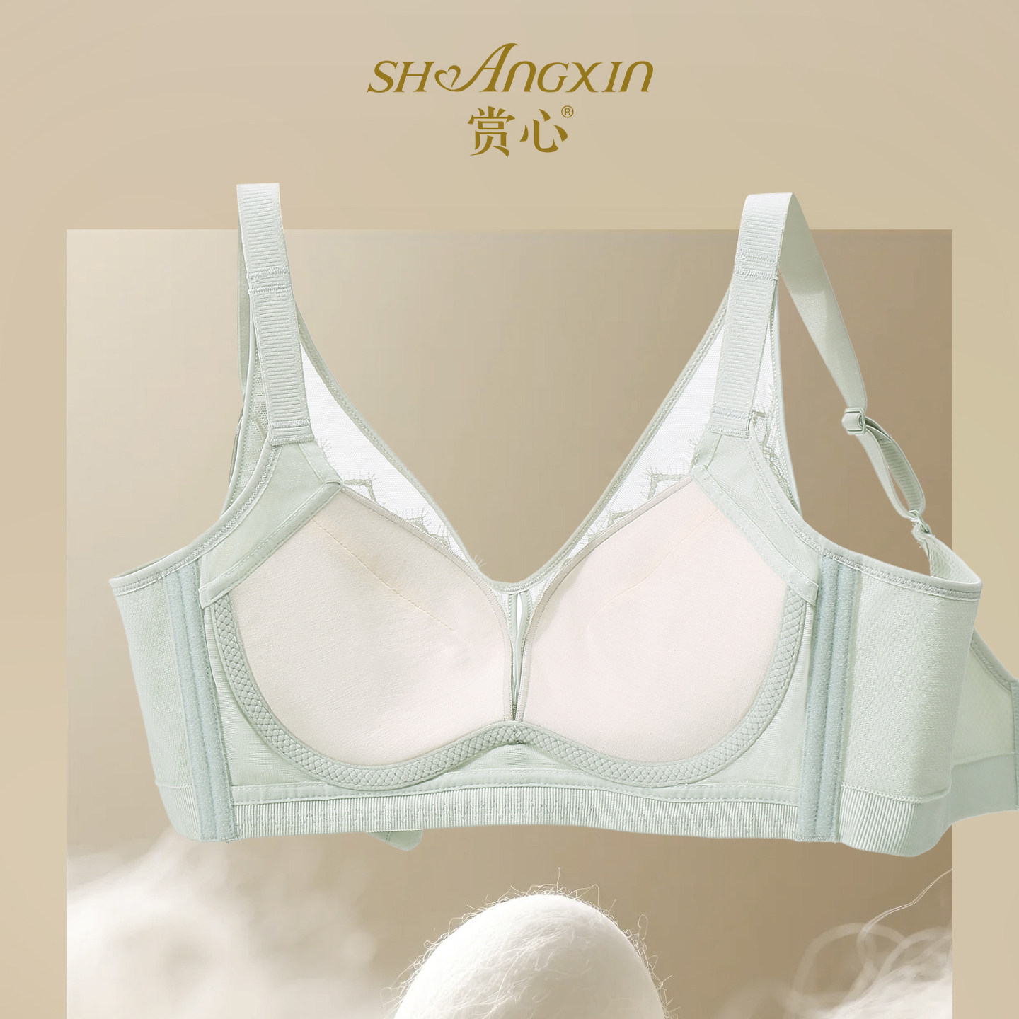 赏心内衣9113小胸聚拢集中显大厚款AB杯桑蚕丝抗菌文胸2026新款,淘宝优惠券,粉丝福利购,淘宝优惠卷
